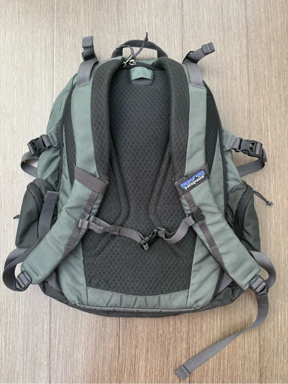 Patagonia Gray Backpack